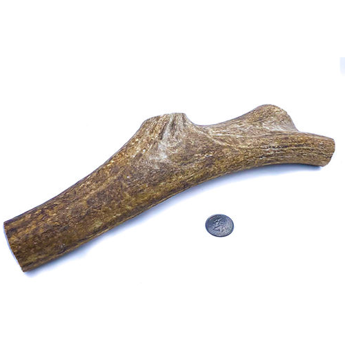 Colossal Elk Antler