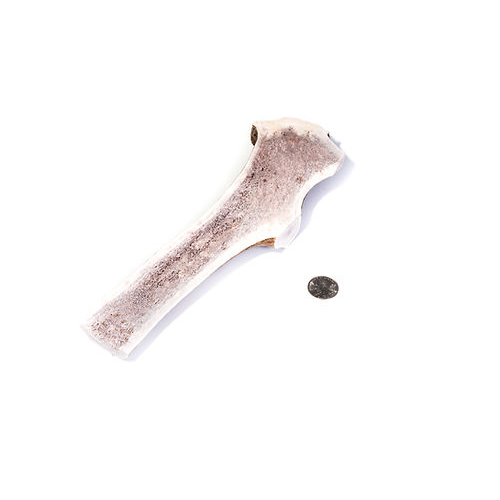 Jumbo Whole Deer Antler Chew