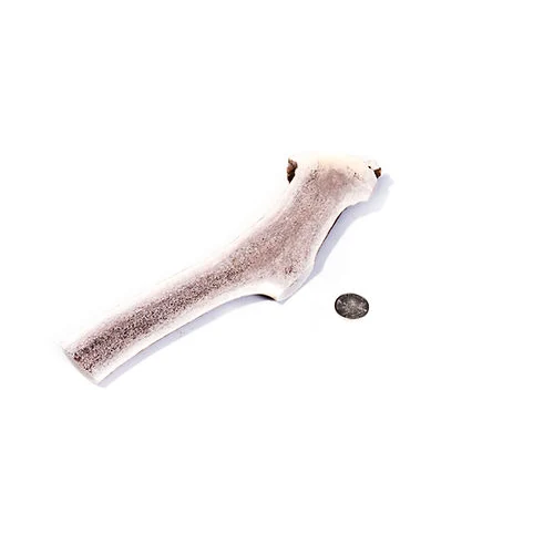 Split Elk Antler Chews
