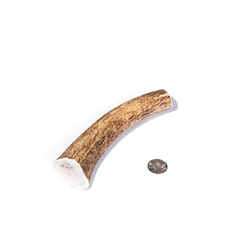 Whole Elk Antler Chews